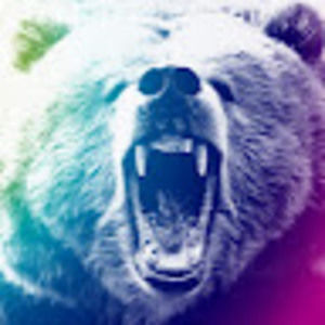 Meet your Posher, Bear